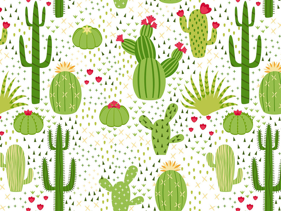Prickly Pears Cacti Vinyl Wrap Pattern~Rwraps Series 914 Digitally Printed Vinyl Wrap~0