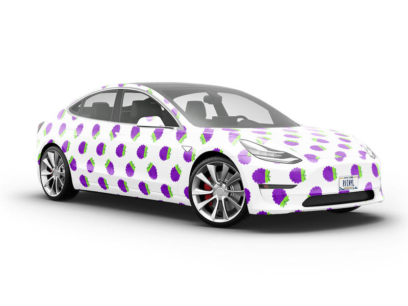 Prime Ark Fruit Vehicle Vinyl Wrap