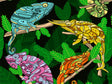 Psychedelic Chameleons Reptile Vinyl Wrap Pattern~Rwraps Series 914 Digitally Printed Vinyl Wrap~0