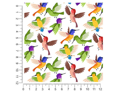 rainbow family bird 1ft x 1ft Craft Sheets
