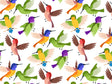 Rainbow Family Birds Vinyl Wrap Pattern~Rwraps Series 914 Digitally Printed Vinyl Wrap~0