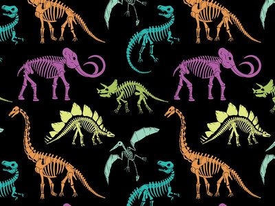 Rainbow Relics Dinosaur Vinyl Wrap Pattern~Rwraps Series 914 Digitally Printed Vinyl Wrap~0