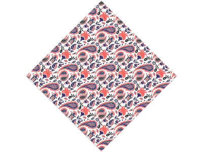 Rainstorm Worries Paisley Vinyl Wrap Pattern