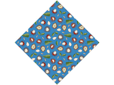 Rapiah Appreciation Fruit Vinyl Wrap Pattern