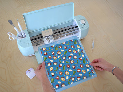rapiah appreciation fruit Cricut Compatible Vinyl