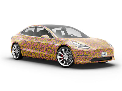 Rave ERDL Camouflage Vehicle Vinyl Wrap