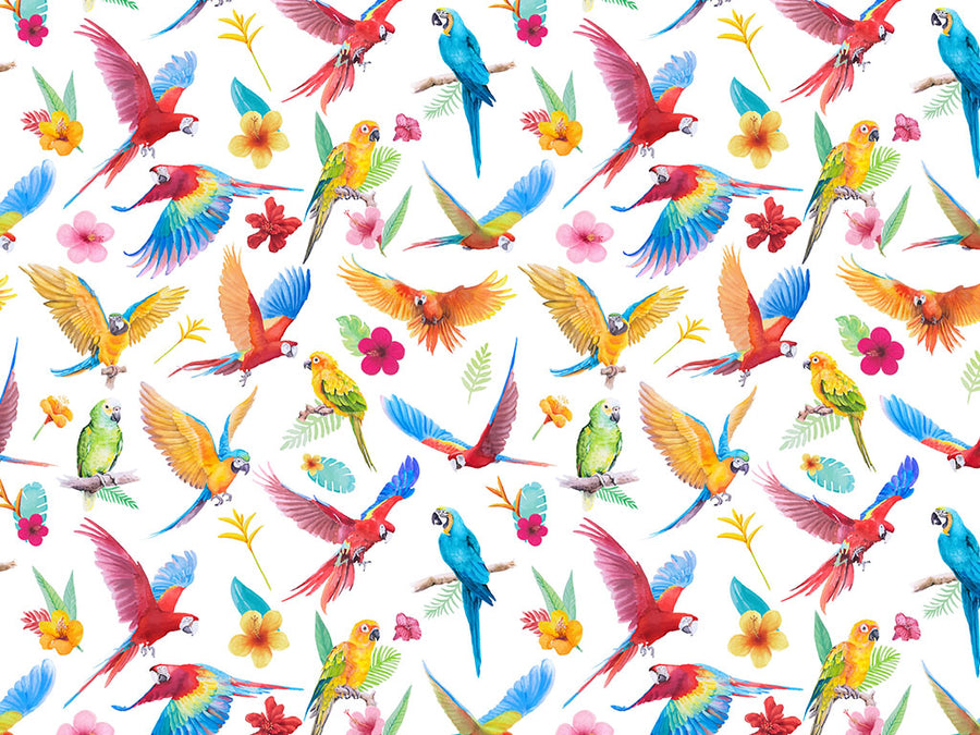 Repeat This Birds Vinyl Wrap Pattern~Rwraps Series 914 Digitally Printed Vinyl Wrap~0