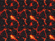 Ring of Fire Lava Vinyl Wrap Pattern~Rwraps Series 914 Digitally Printed Vinyl Wrap~0