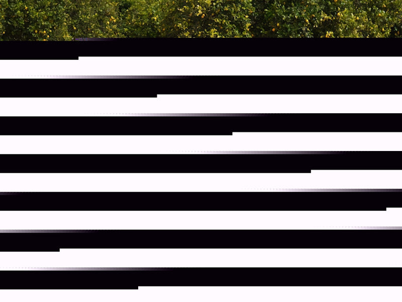 rivian r1t 2022-2025 Headlight Protection Film
