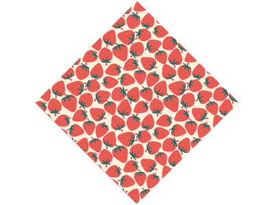 Rosa Linda Fruit Vinyl Wrap Pattern