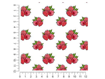 ruby beauty fruit 1ft x 1ft Craft Sheets