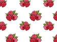 Ruby Beauty Fruit Vinyl Wrap Pattern~Rwraps Series 914 Digitally Printed Vinyl Wrap~0