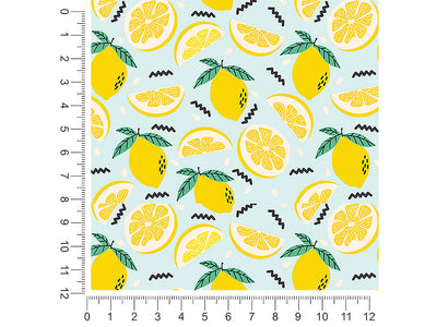 saint teresa fruit 1ft x 1ft Craft Sheets