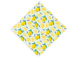 Saint Teresa Fruit Vinyl Wrap Pattern