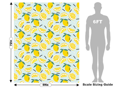 Saint Teresa Fruit Vehicle Wrap Scale~Rwraps Series 914 Saint Teresa Fruit Measurements~1