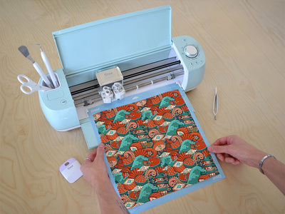 salmon eggs japanese Cricut Compatible Vinyl