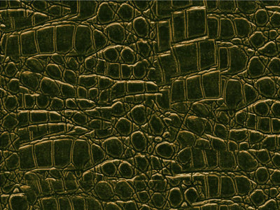 Saltwater Crocodile Vinyl Wrap Pattern~Rwraps Series 914 Digitally Printed Vinyl Wrap~0