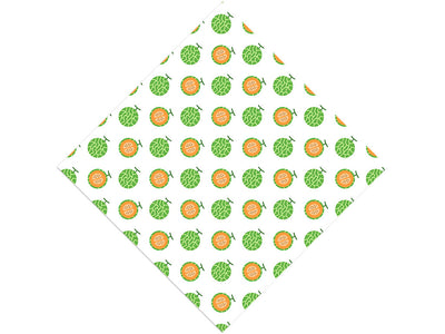 Sarahs Choice Fruit Vinyl Wrap Pattern