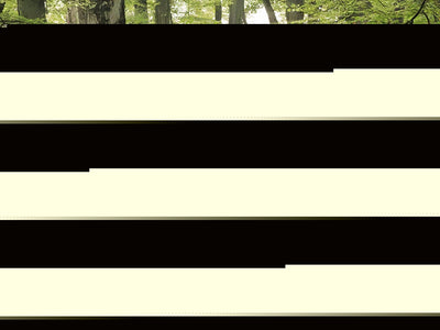 saturn vue 2008-2009 Headlight Tint