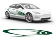 3M Dark Green Saturns Rings Body Graphic~Full Side Auto Decal Kit~0