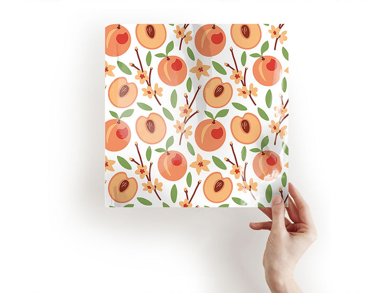 scarlet prince fruit Craft Sheets