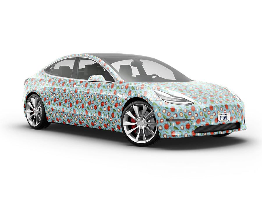 Schoolboy Variety Fruit Vehicle Vinyl Wrap