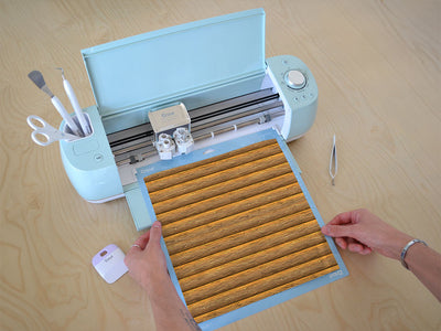 sesame  Cricut Compatible Vinyl