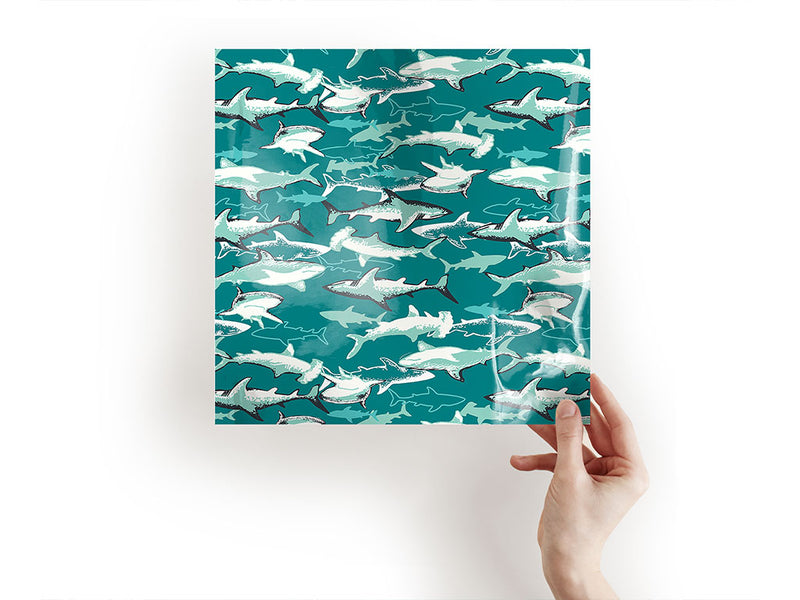shark structure salt water Craft Sheets