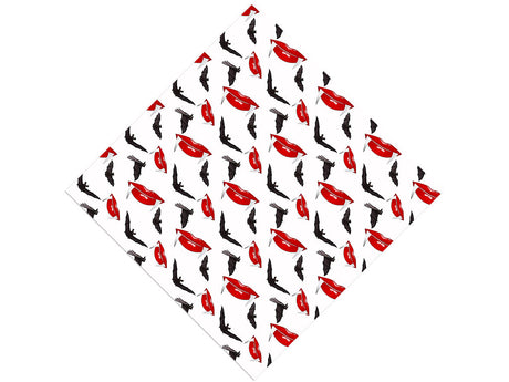 Sharp Smile Vampire Vinyl Wrap Pattern
