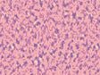 Shimmering Blush Pixel Vinyl Wrap Pattern~Rwraps Series 914 Digitally Printed Vinyl Wrap~0