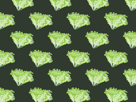 Sierra Batavia Vegetable Vinyl Wrap Pattern~Rwraps Series 914 Digitally Printed Vinyl Wrap~0