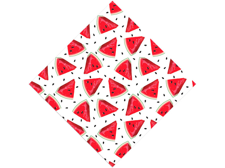 Single Slice Fruit Vinyl Wrap Pattern