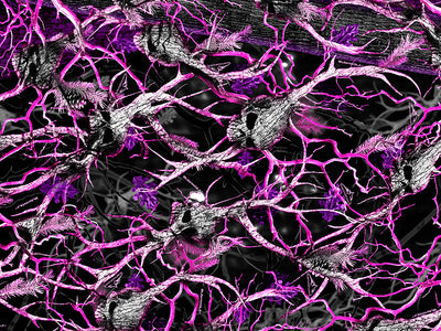 Skull Pink Camouflage Vinyl Wrap Pattern~Rwraps Series 914 Digitally Printed Vinyl Wrap~0