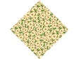 Sliced Lentier Fruit Vinyl Wrap Pattern