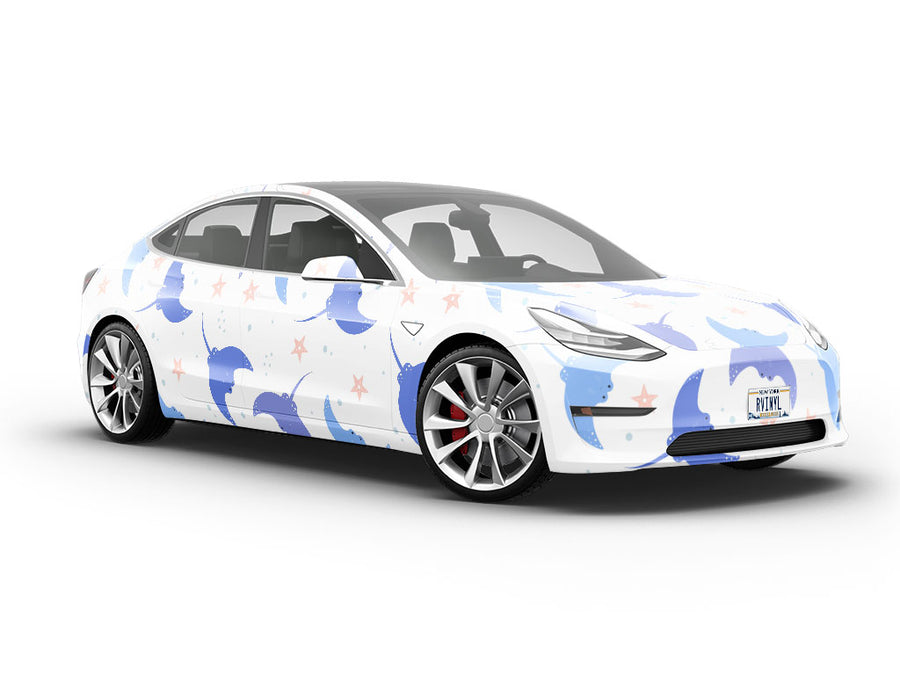 Smiling Stingray Marine Life Vehicle Vinyl Wrap