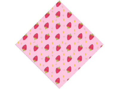 Snack Smiling Back Fruit Vinyl Wrap Pattern