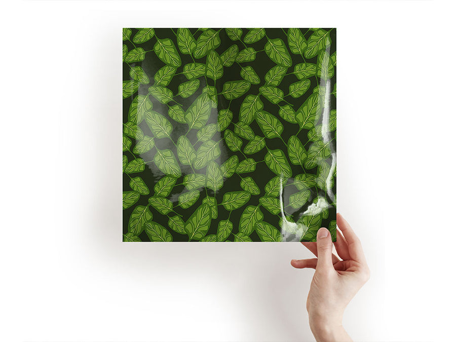 space spinach vegetable Craft Sheets