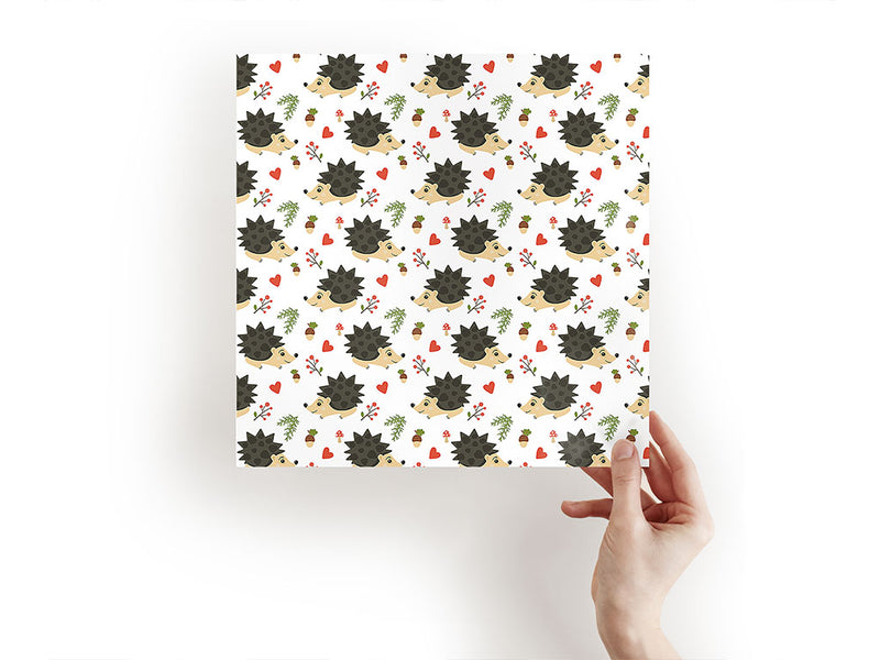 spiny protectors animal Craft Sheets