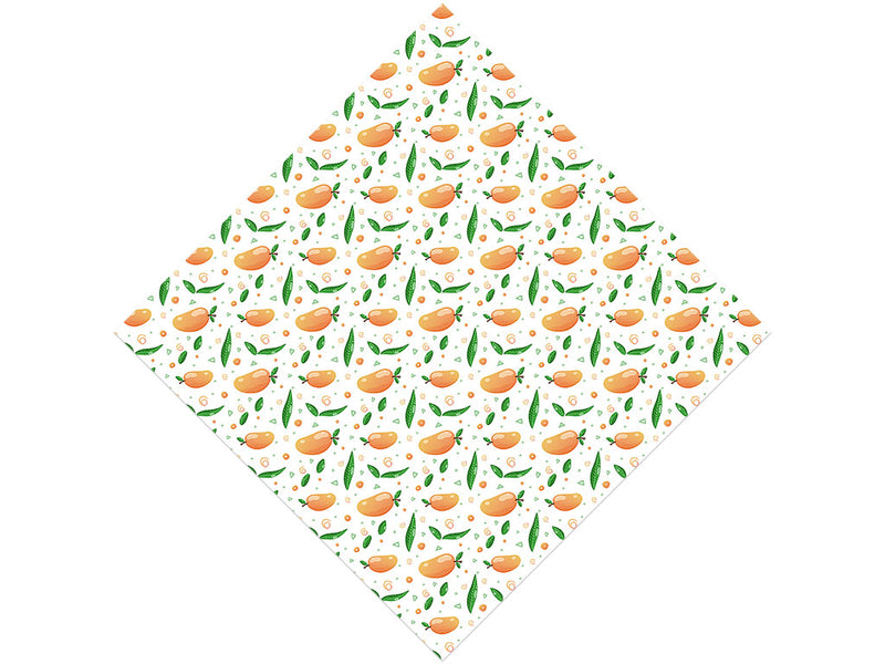 Spirit of 76 Fruit Vinyl Wrap Pattern