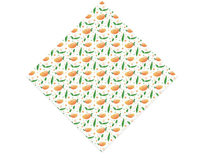 Spirit of 76 Fruit Vinyl Wrap Pattern