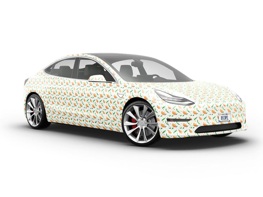 Spirit of 76 Fruit Vehicle Vinyl Wrap