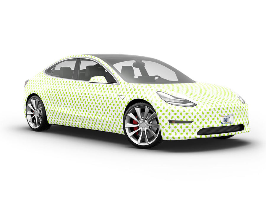 Squeezed Fresh Fruit Vehicle Vinyl Wrap