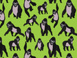 Striking Poses Primate Vinyl Wrap Pattern~Rwraps Series 914 Digitally Printed Vinyl Wrap~0