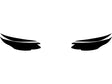 subaru legacy 2020-2022 Headlight Tint