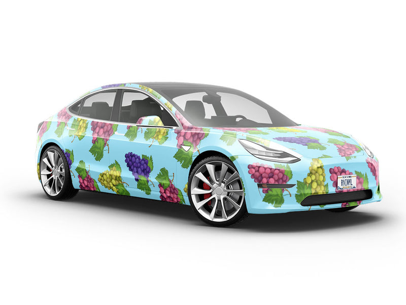 Table Mix Fruit Vehicle Vinyl Wrap