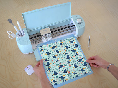 take flight bird Cricut Compatible Vinyl