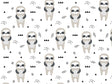 Taking Time Animal Vinyl Wrap Pattern~Rwraps Series 914 Digitally Printed Vinyl Wrap~0