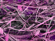 Tallgrass Pink Camouflage Vinyl Wrap Pattern~Rwraps Series 914 Digitally Printed Vinyl Wrap~0