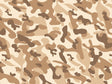 Tan Flecktarn Camouflage Vinyl Wrap Pattern~Rwraps Series 914 Digitally Printed Vinyl Wrap~0