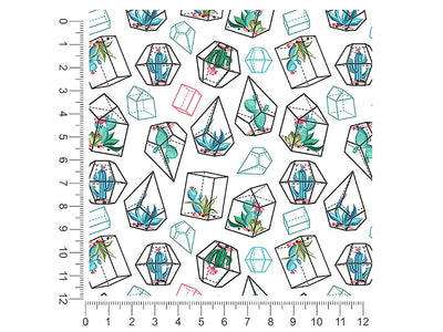 terrarium living cactus 1ft x 1ft Craft Sheets